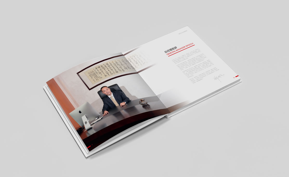 金地建設(shè)品牌戰(zhàn)略規(guī)劃、標(biāo)志設(shè)計、VI設(shè)計、畫冊設(shè)計_全力設(shè)計