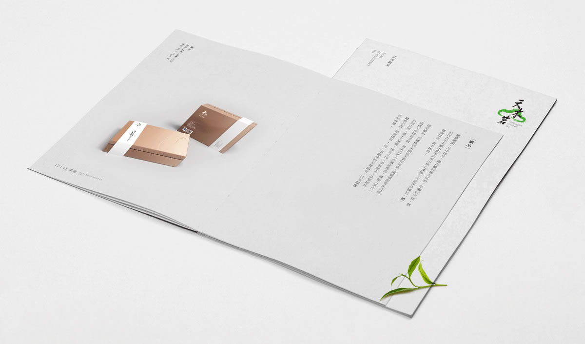 天木巖商標(biāo)設(shè)計(jì),天木巖logo設(shè)計(jì),天木巖畫(huà)冊(cè)設(shè)計(jì)_全力設(shè)計(jì)