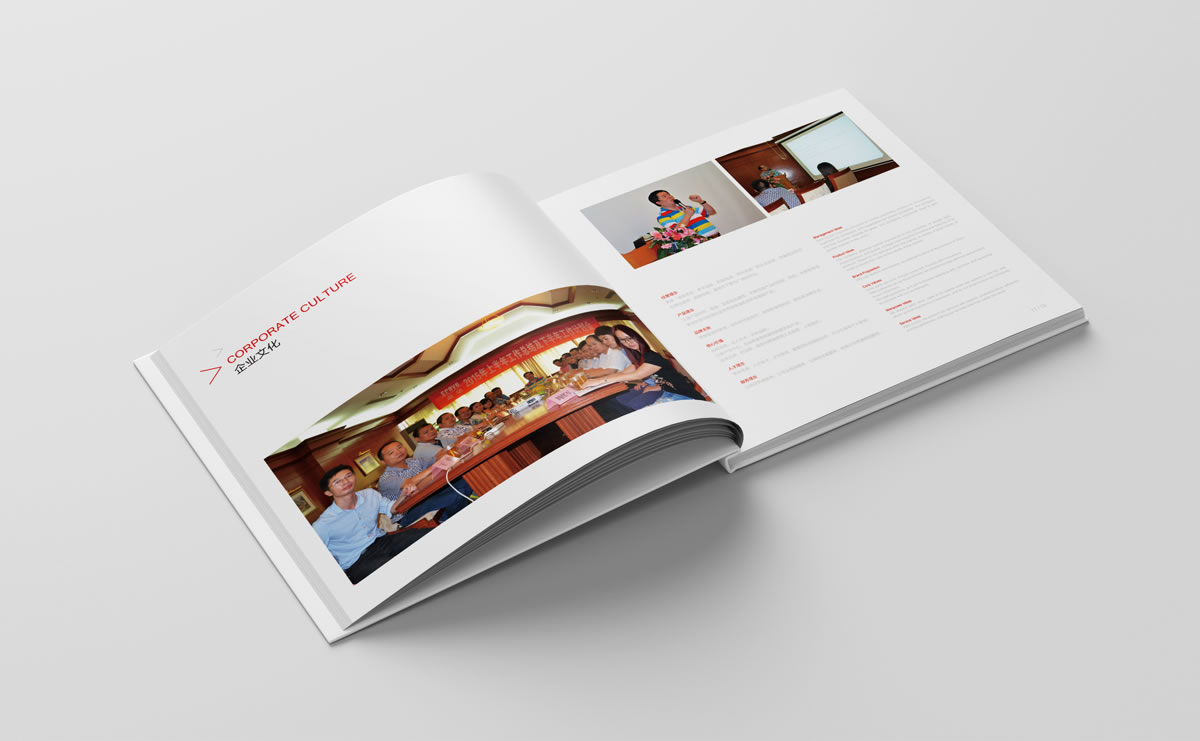 渴望集團(tuán)商標(biāo)設(shè)計(jì),渴望集團(tuán)logo設(shè)計(jì),渴望集團(tuán)畫(huà)冊(cè)設(shè)計(jì)