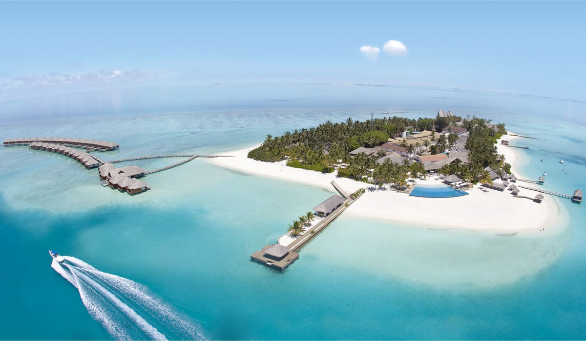 山谷巴巴商標設(shè)計,山谷巴巴logo設(shè)計,山谷巴巴畫冊設(shè)計