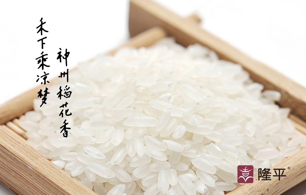 隆平大米商標設(shè)計,隆平大米logo設(shè)計,隆平大米畫冊設(shè)計