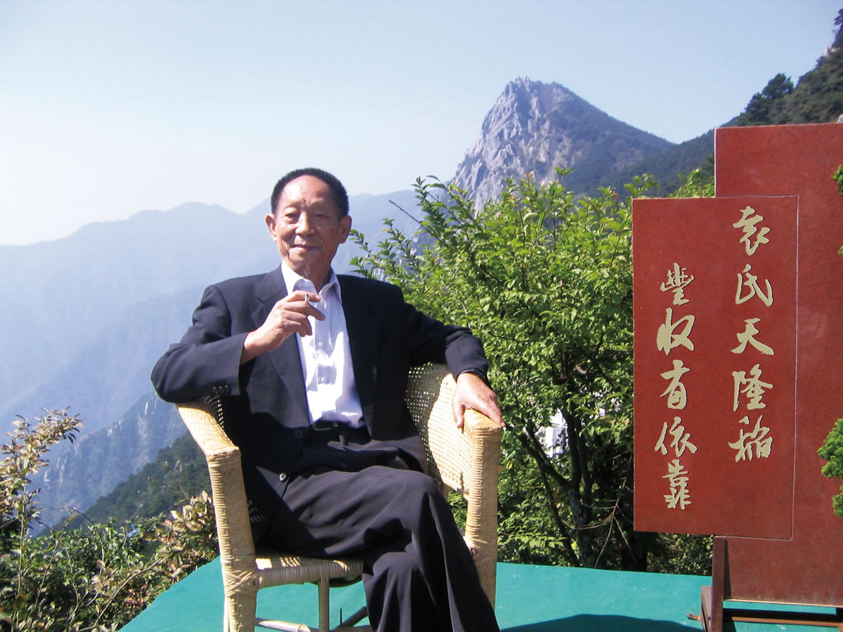 隆平大米商標設(shè)計,隆平大米logo設(shè)計,隆平大米畫冊設(shè)計