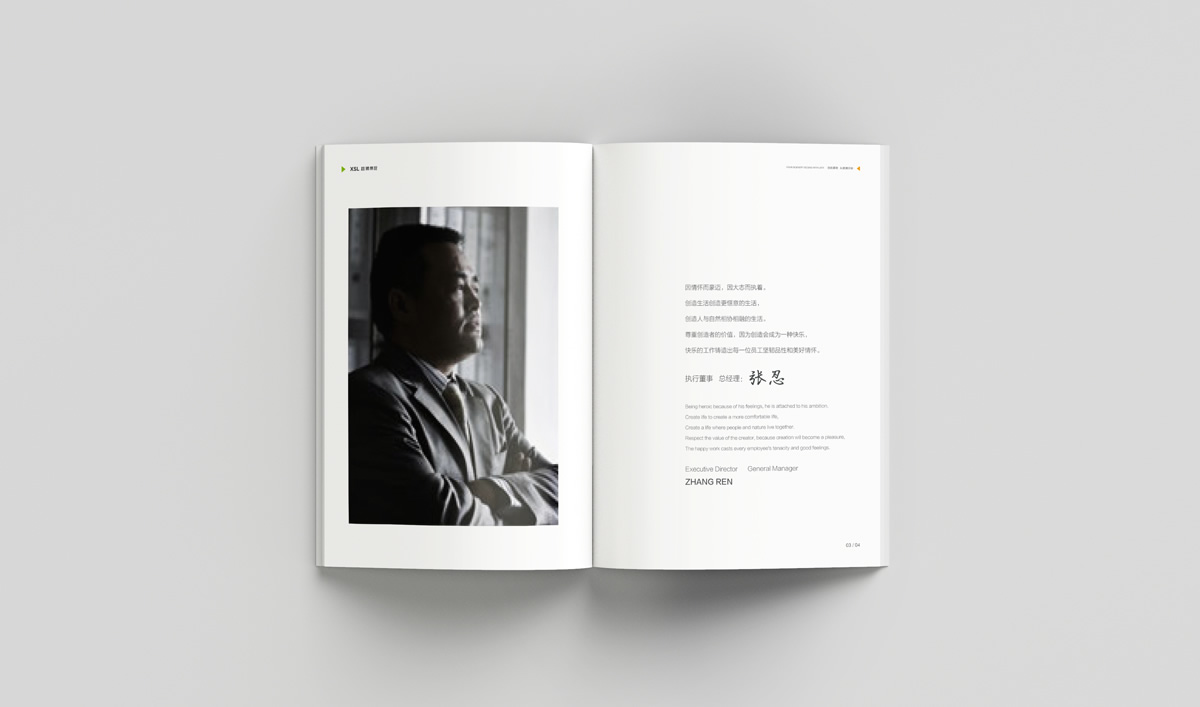 雄獅景觀畫冊設(shè)計,雄獅景觀標志設(shè)計,雄獅景觀品牌形象設(shè)計,雄獅景觀LOGO設(shè)計