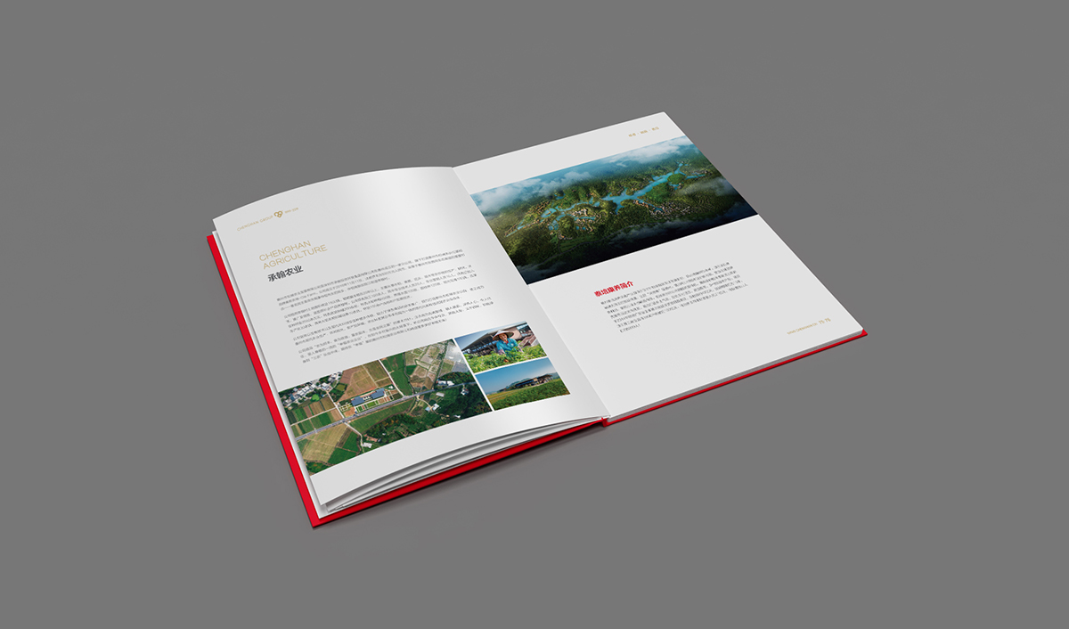 承翰集團(tuán)品牌形象塑造,二十周年畫冊設(shè)計(jì)_全力設(shè)計(jì)