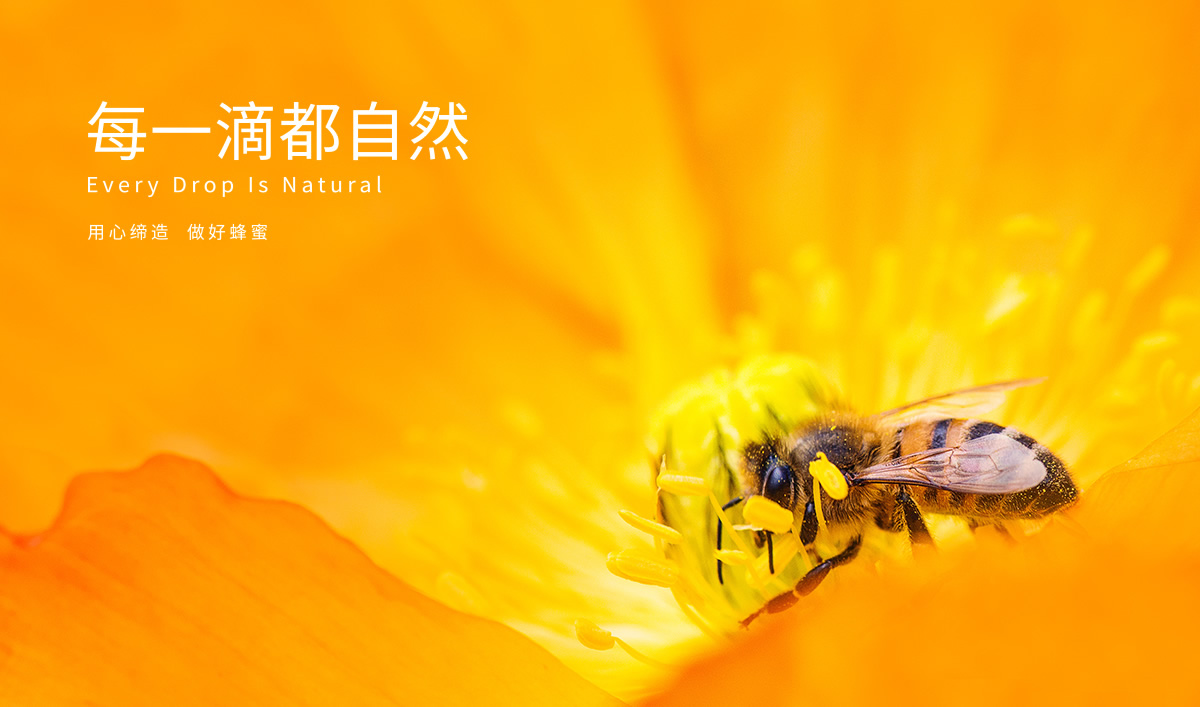 九青云包裝設(shè)計(jì),九青云禮盒設(shè)計(jì),九青云品牌設(shè)計(jì),產(chǎn)品包裝設(shè)計(jì),包裝設(shè)計(jì)